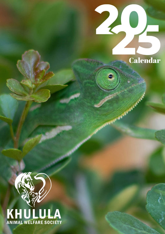 KHAWS Hanging Calendar 2025